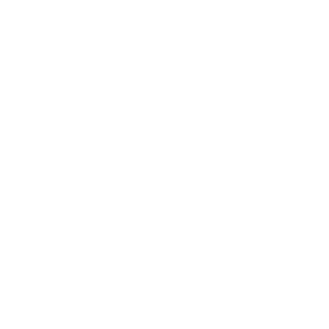 Aviatrix logo.