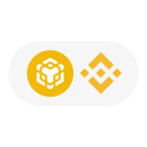 Binance Coin logo.