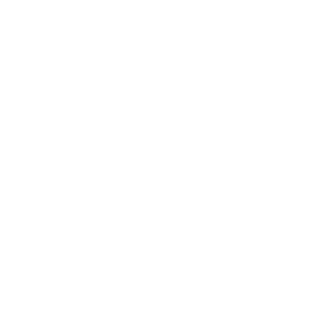 Red Tiger logo.