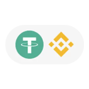 USDT BSC logo.