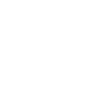 Winspinity logo.